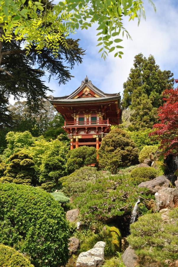Golden Gate Park Suite San Francisco Kültér fotó