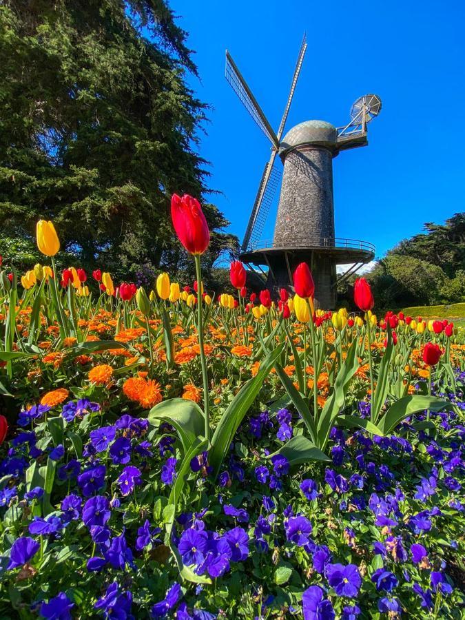 Golden Gate Park Suite San Francisco Kültér fotó